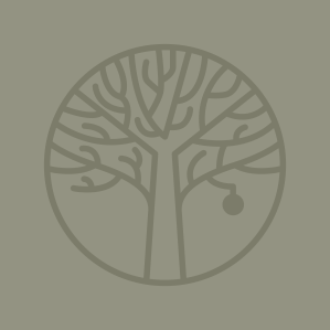 Orchard Property Development logo tree device