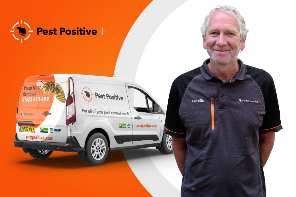 Pest Positive social media graphics